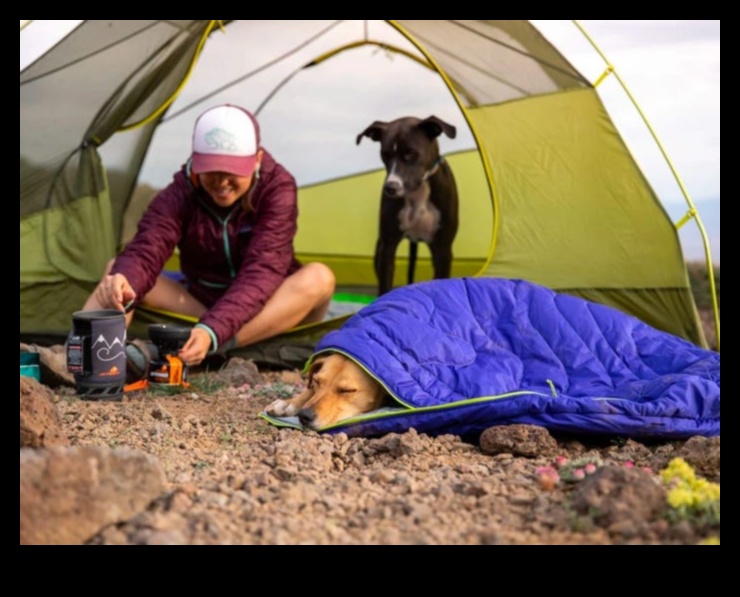 Camping canin Continuare: extinderea explorării în aer liber