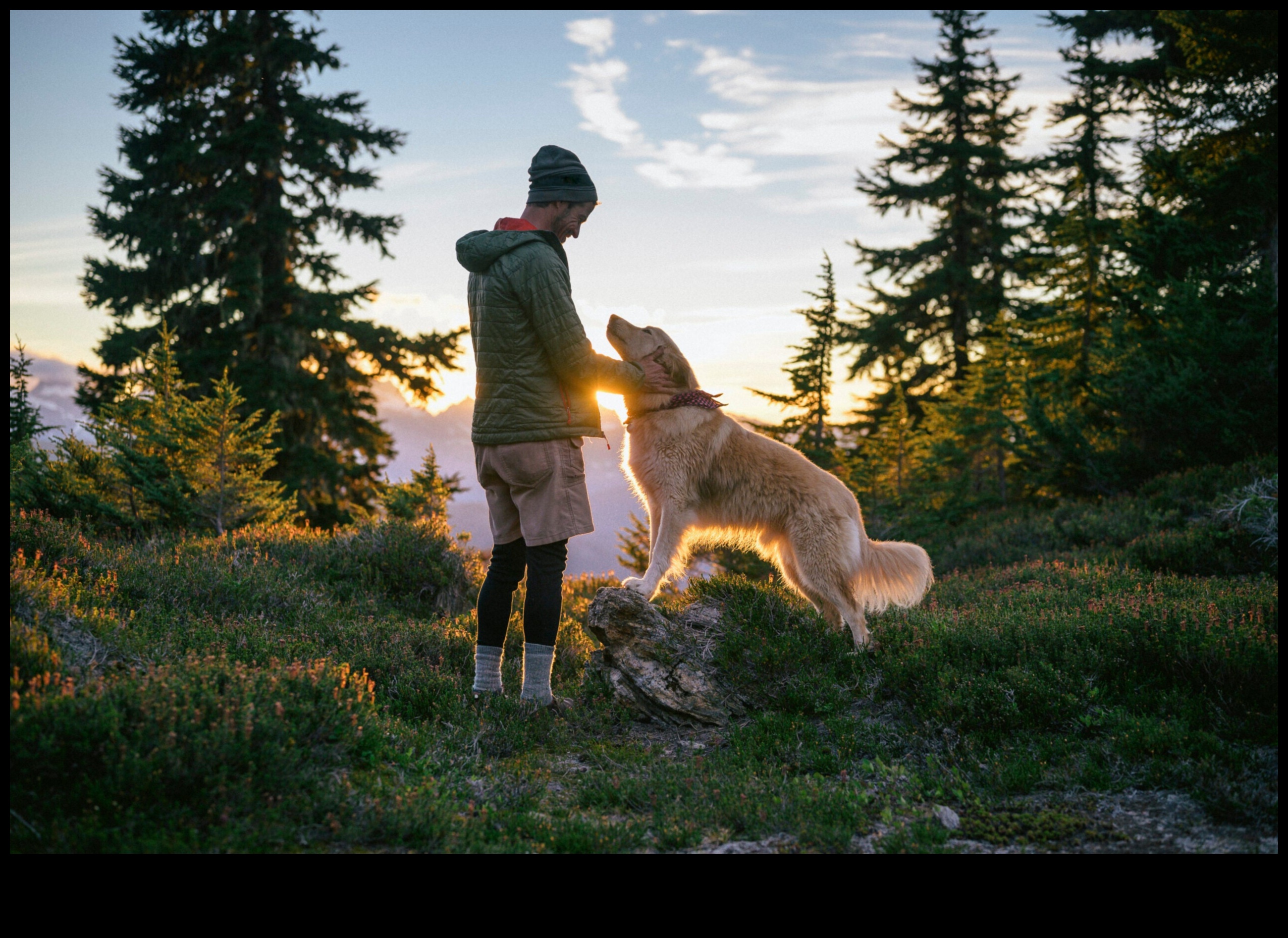 Camping canin Continuare: extinderea explorării în aer liber