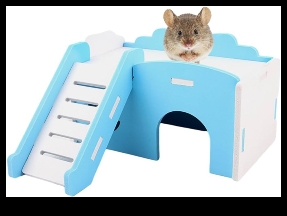 Hamster Haven: Crearea căminului perfect pentru prietenul tău blănos