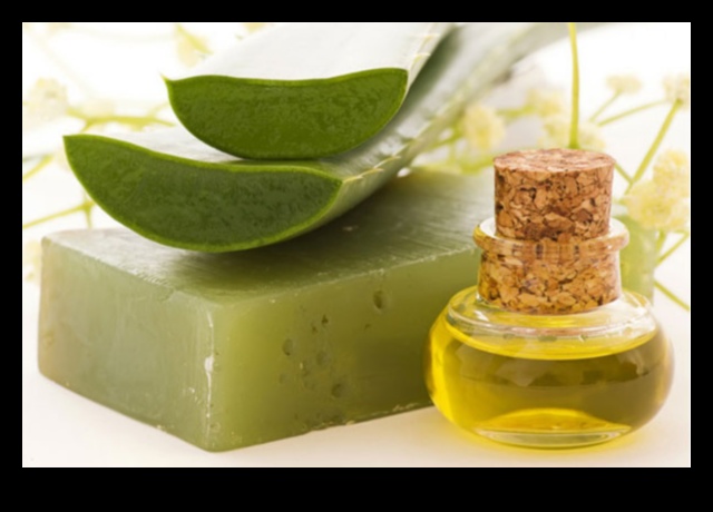 Baton DIY cu Aloe Vera: Creați-vă răcoritoarea perfectă acasă