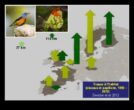 Păsările și schimbările climatice s-au adaptat în continuare la habitatele modificate