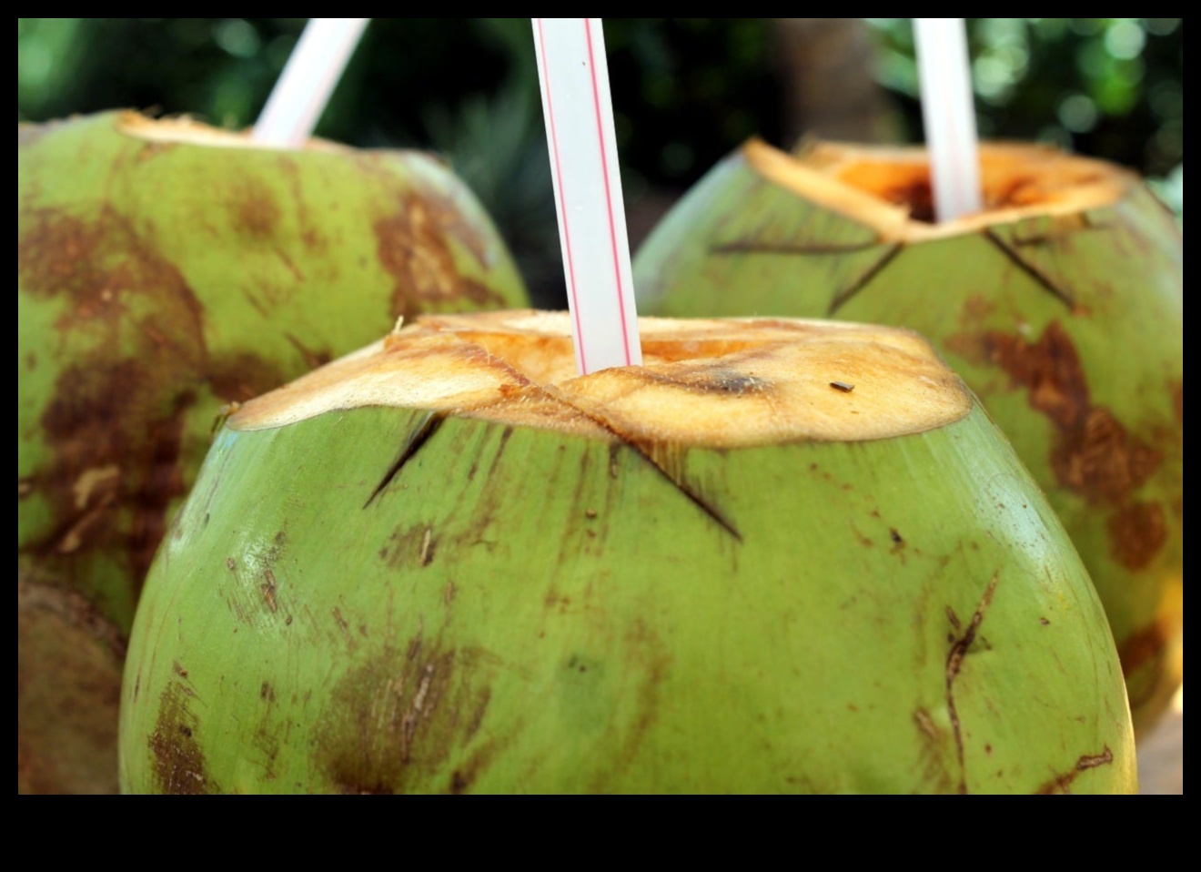 Reîmprospătare tropicală: deblocarea secretelor apei de nucă de cocos